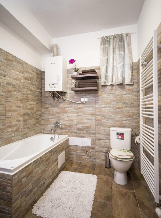 Apartment Dolni Namesti *