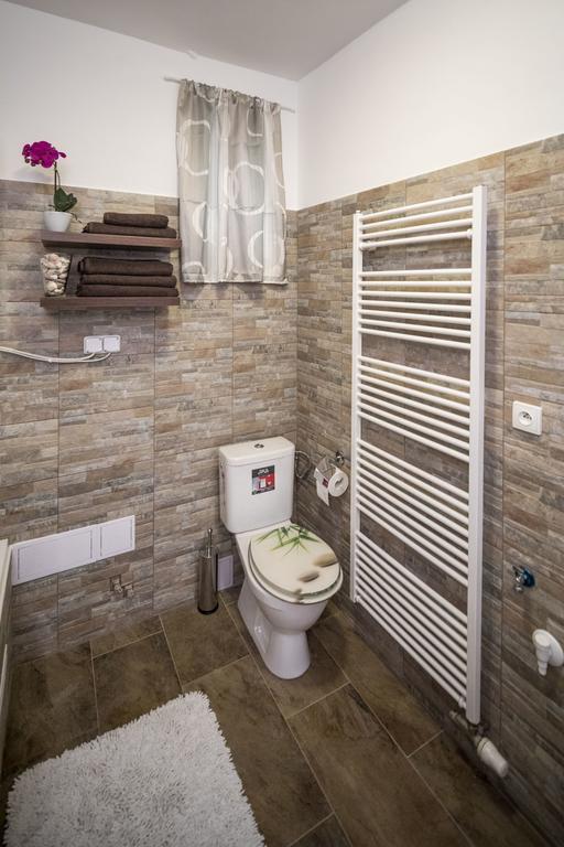 Dolni Namesti Apartment Olomouc