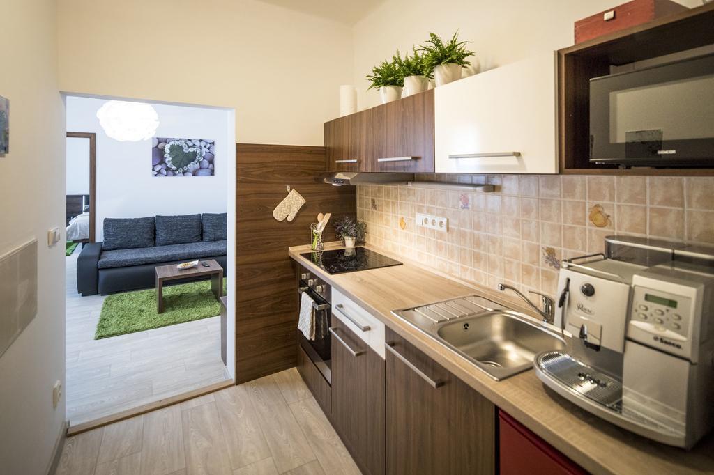 Dolni Namesti Apartment