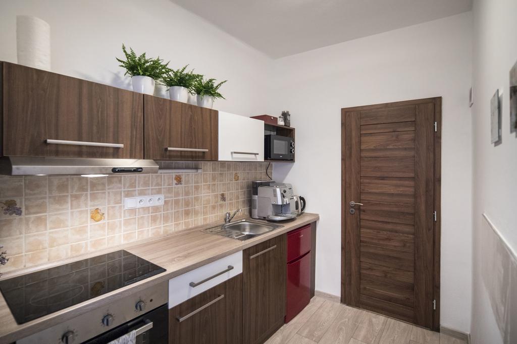 Dolni Namesti Apartment *