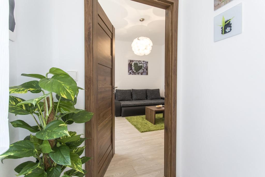 Dolni Namesti Apartment Olomouc