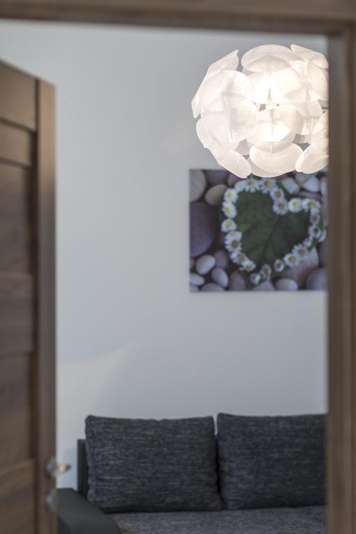 Apartment Dolni Namesti *