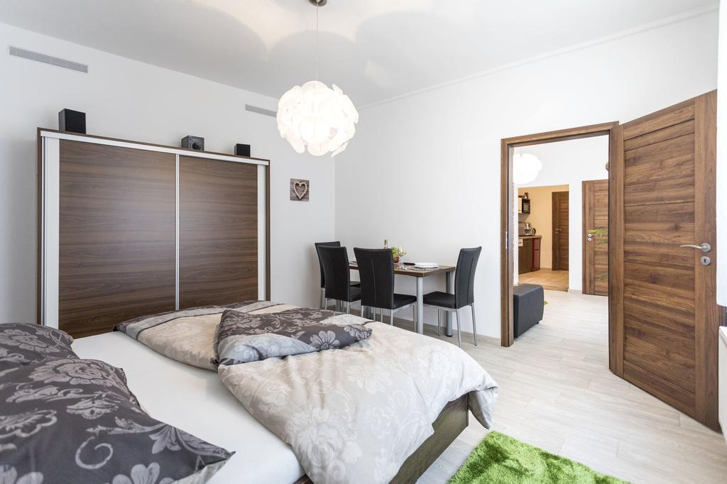 Dolni Namesti Apartment